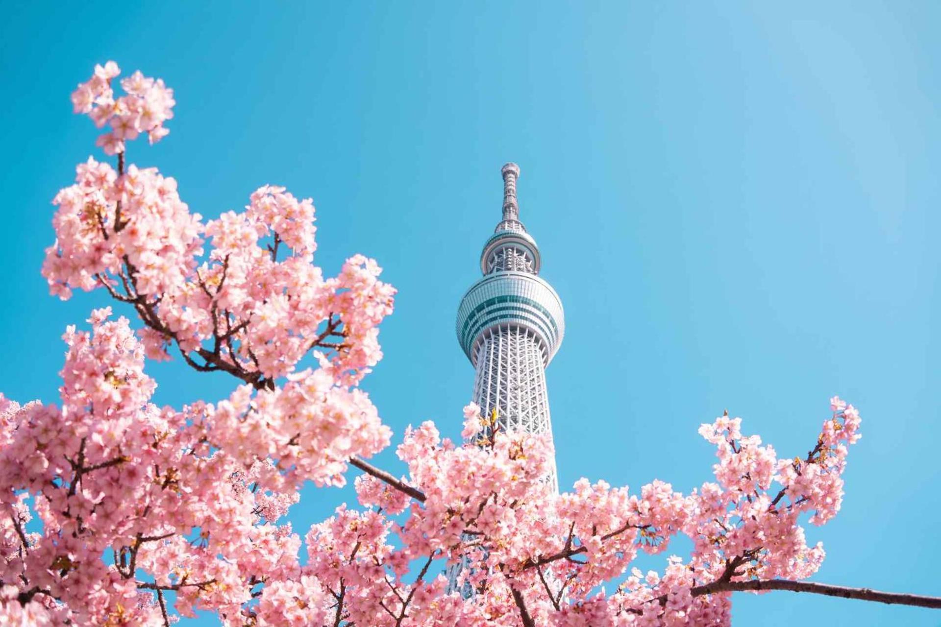 Fl Hotel Asakusa Токио Екстериор снимка